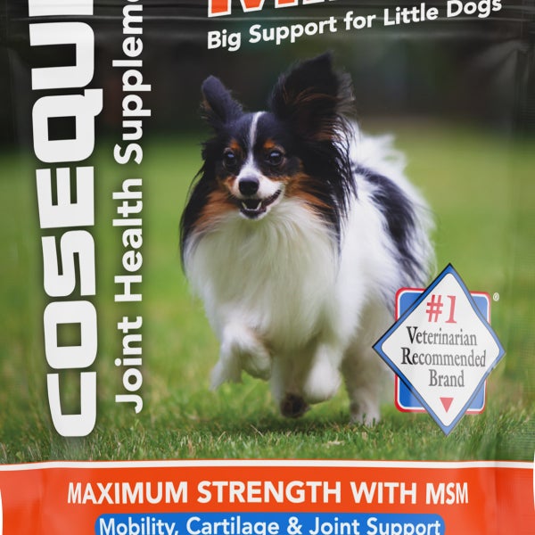 Cosequin Minis Maximum Strength with MSM Plus Omega-3’s Joint Health Supplement for Dogs, 45ct Soft Chews, 4-pack
