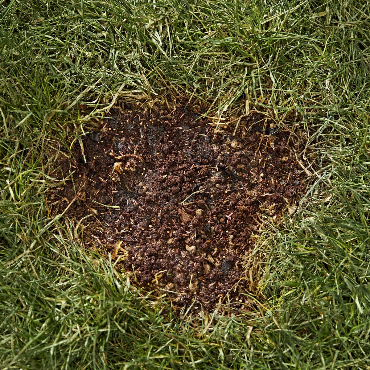 Scotts EZ Seed Patch & Repair Tall Fescue Lawn Patch 25 lb