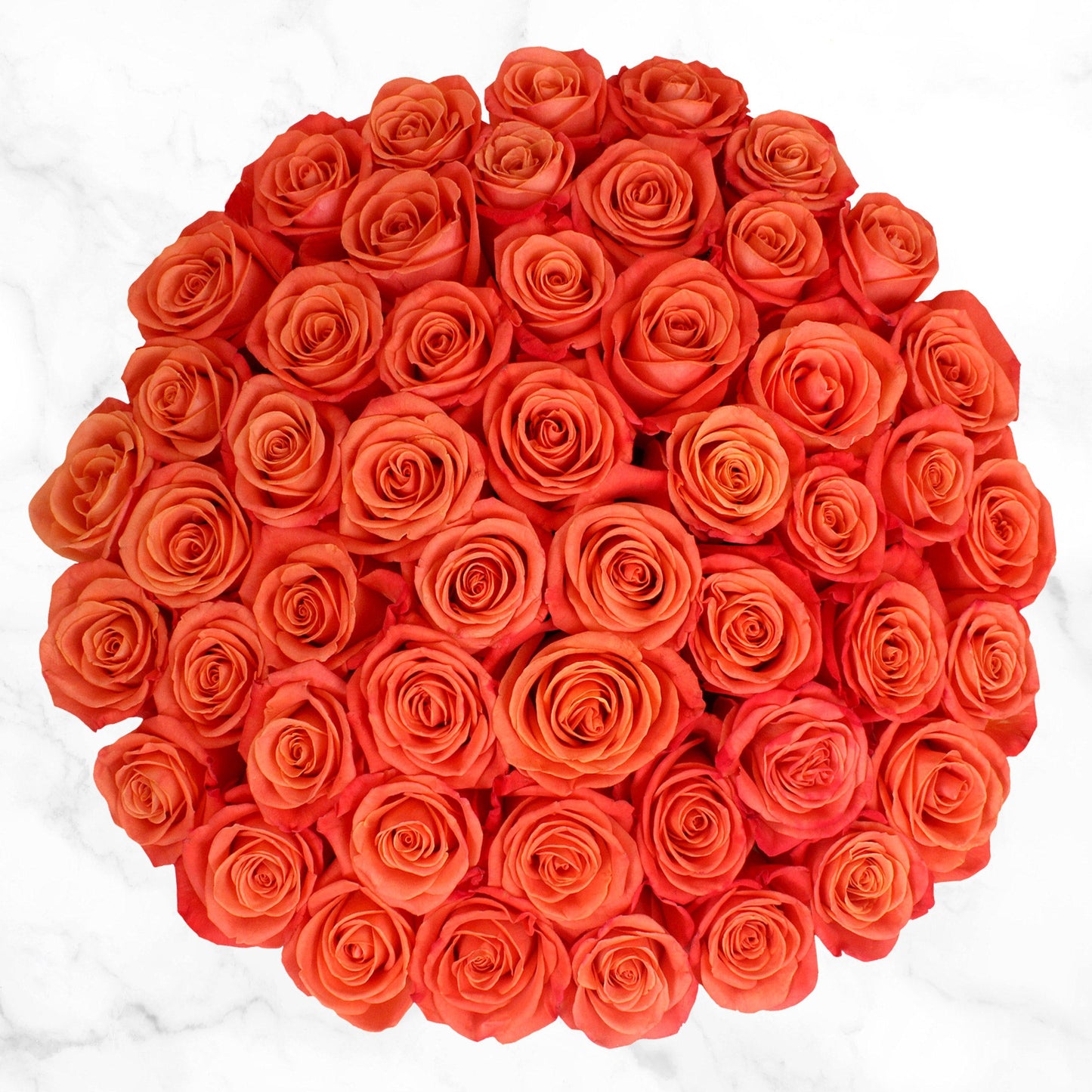50-stem Orange Roses