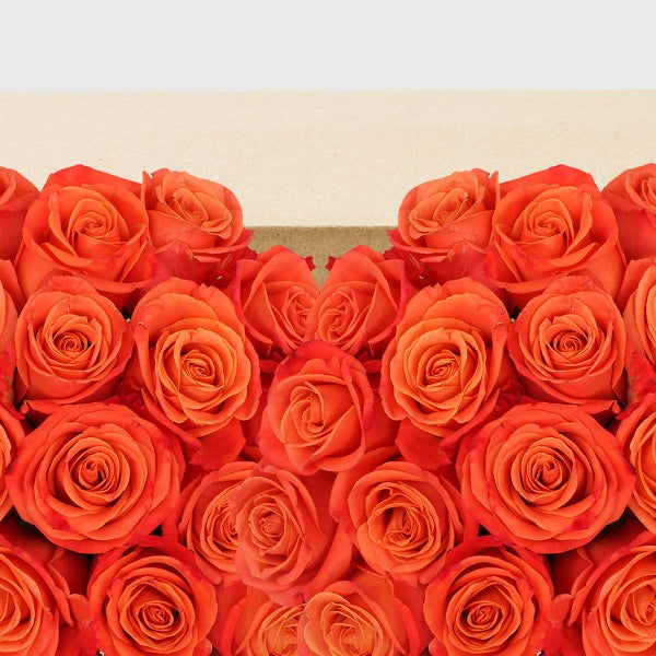 50-stem Orange Roses