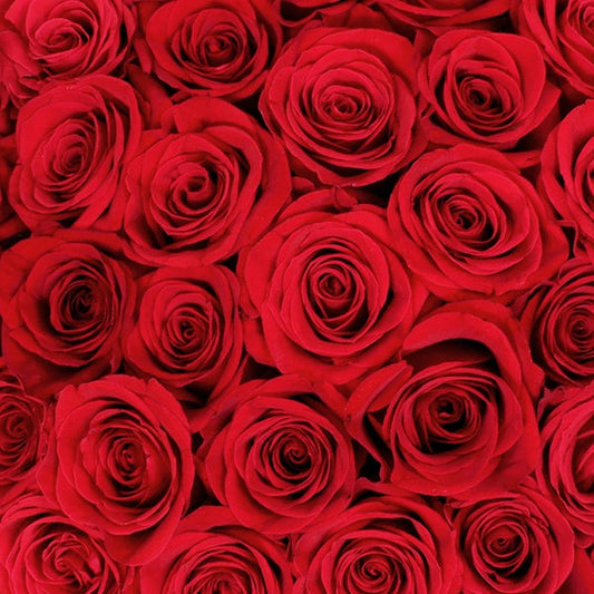 50-stem Red Roses