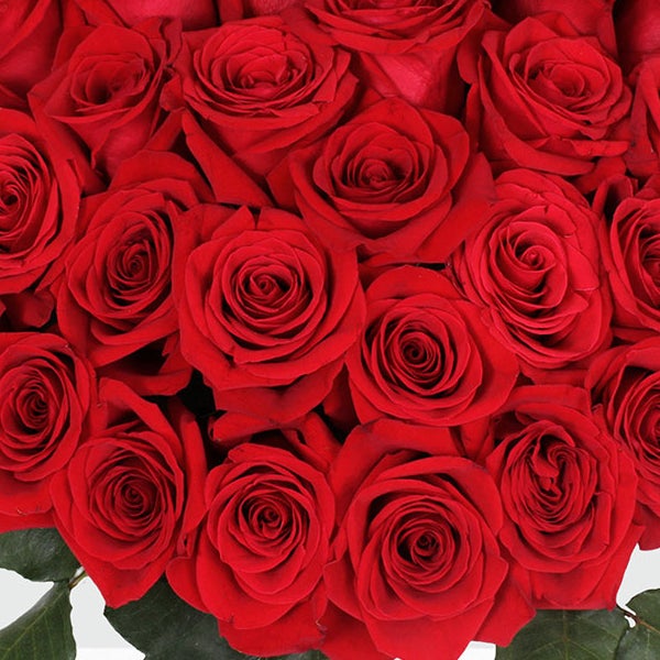 50-stem Red Roses