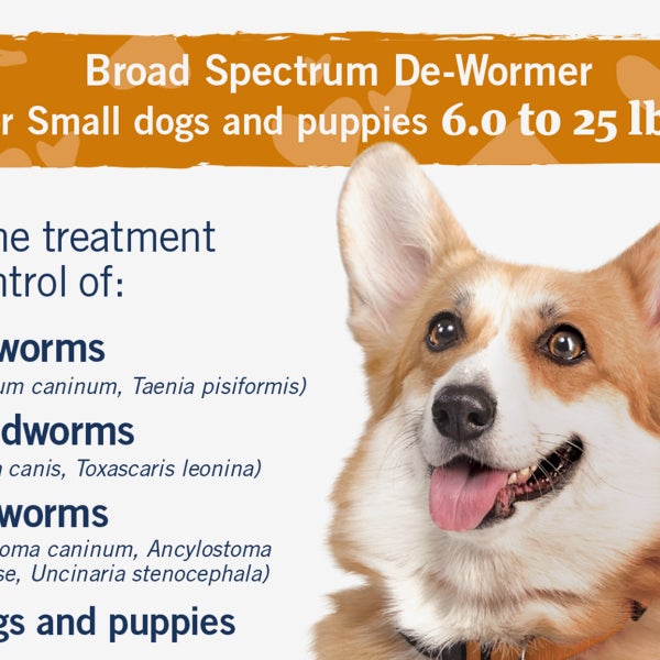 PetArmor 7 Way Chewable De-Wormer for Puppies and Small Dogs, 12-count