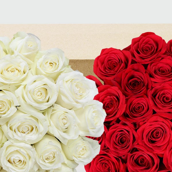 50-stem Red & White Roses