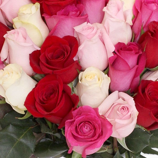 50-stem Shades of Pink Quad Roses