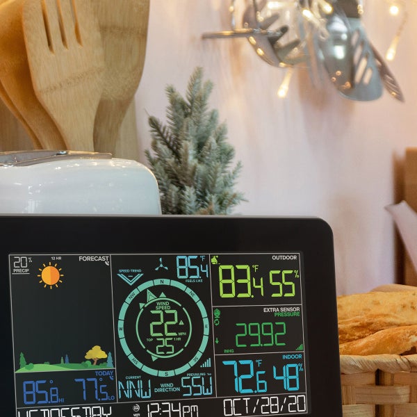 La Crosse Wireless Wind and Weather Station