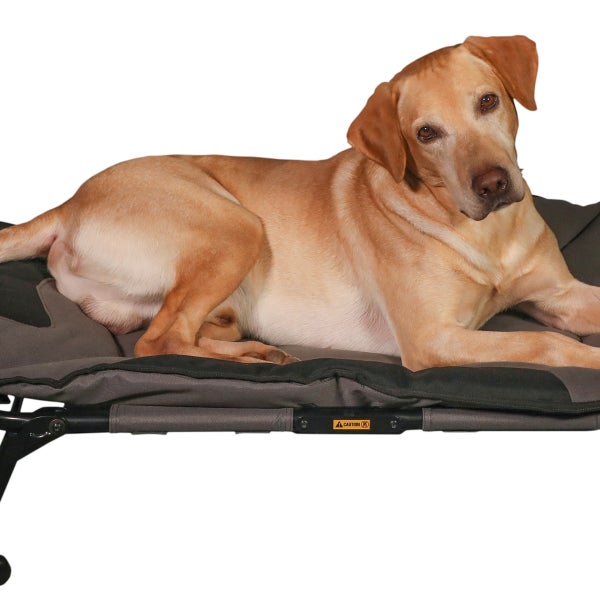 MOmarsh Home Cot Dog Bed