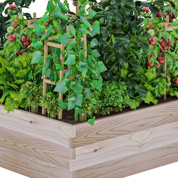 CedarCraft Cedar Raised Garden Bed