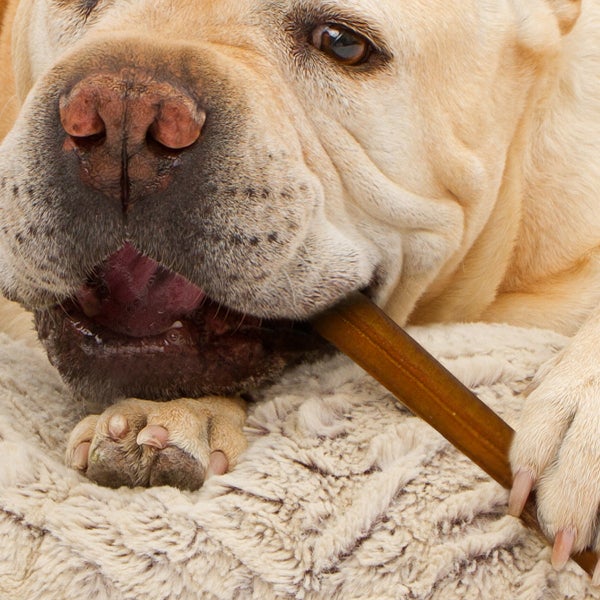 Cadet TORO Bully Hide Chews All-Natural Dog Chews 9-12" 12-count, 2-pack