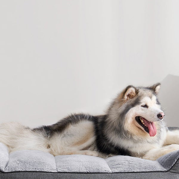 Kirkland Signature Rectangular Bolster 46" x 36" Pet Bed, Black and White Houndstooth