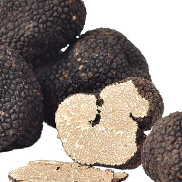 Fresh Summer Truffles 4 oz.