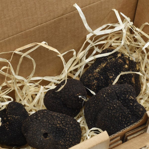 Fresh Summer Truffles 4 oz.