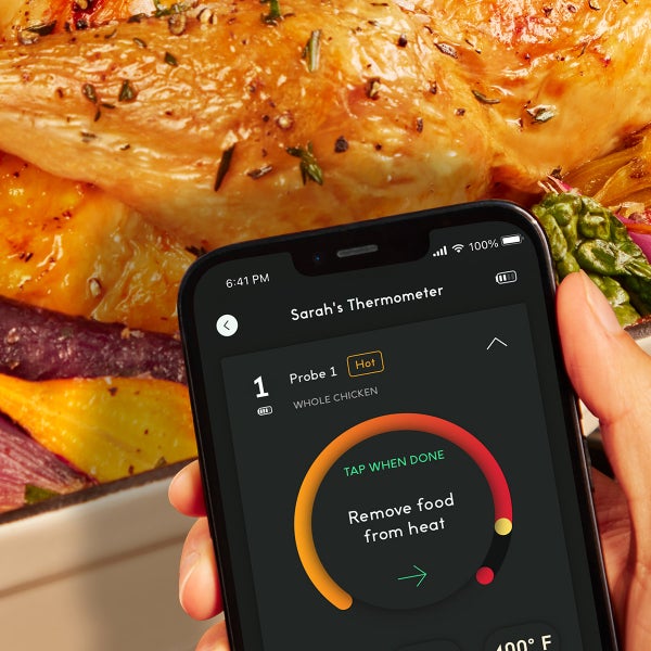 Chef iQ Smart Thermometer and Hub, 2 Probe Set