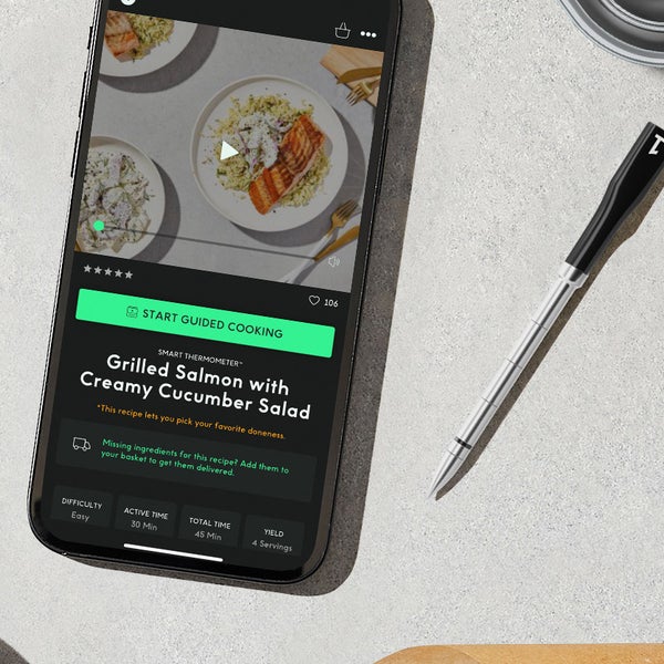 Chef iQ Smart Thermometer and Hub, 2 Probe Set