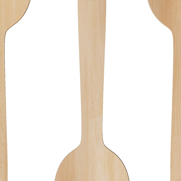 Eco Raj Compostable Wooden Spoon, 1,000-count