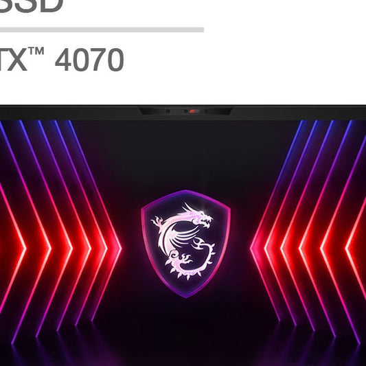 MSI Raider GE78 HX 17" Gaming Laptop - 14th Gen Intel Core i9-14900HX - GeForce RTX 4070 - QHD+ (2560 X 1600) 240Hz - Windows 11