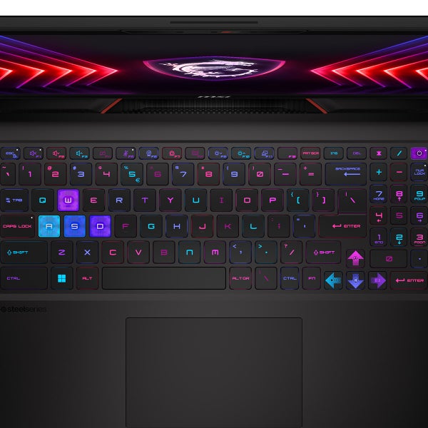 MSI Raider GE78 HX 17" Gaming Laptop - 14th Gen Intel Core i9-14900HX - GeForce RTX 4070 - QHD+ (2560 X 1600) 240Hz - Windows 11