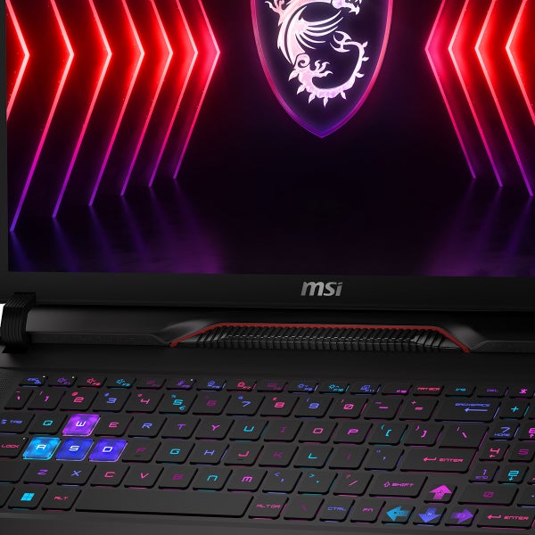 MSI Raider GE78 HX 17" Gaming Laptop - 14th Gen Intel Core i9-14900HX - GeForce RTX 4070 - QHD+ (2560 X 1600) 240Hz - Windows 11