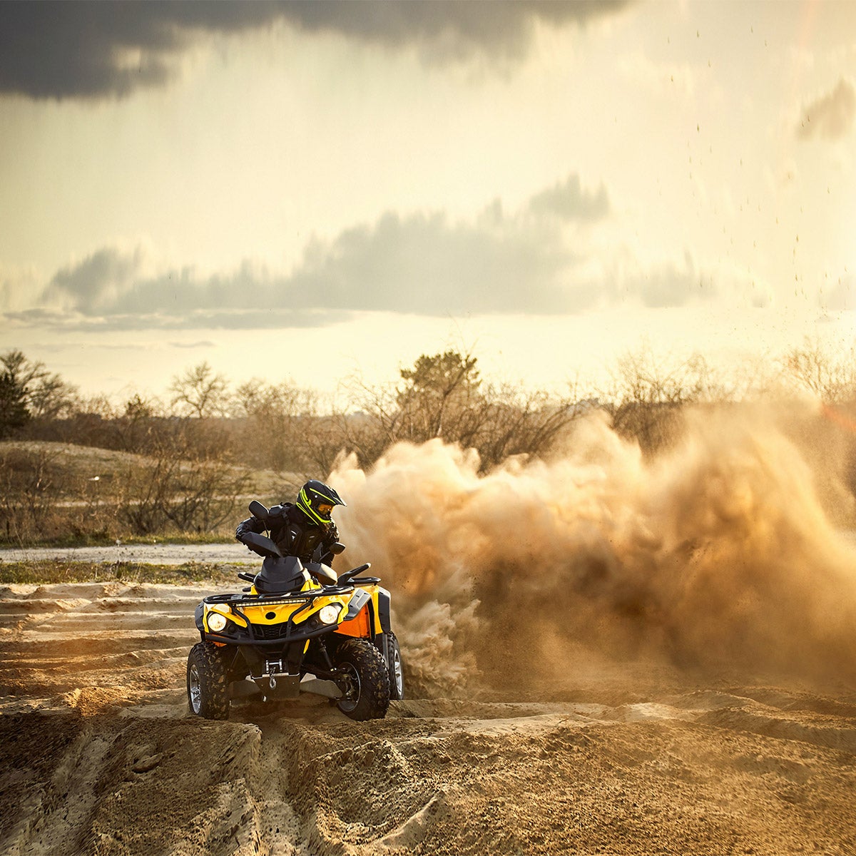 Interstate Batteries Powersport AGM Battery FAYTX14AH