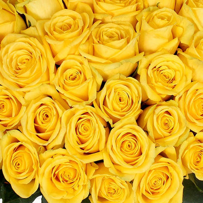 50-stem Yellow Roses