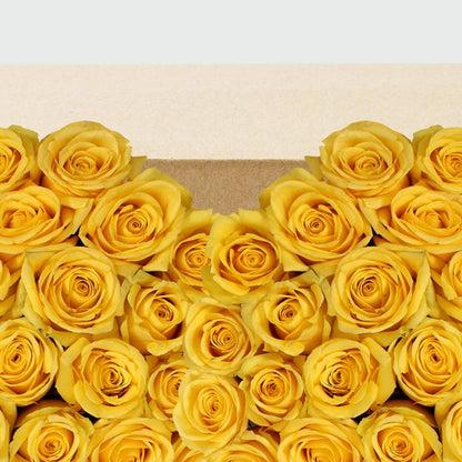 50-stem Yellow Roses