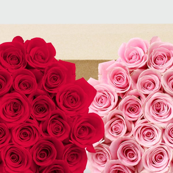 50-stem Hot Pink & Light Pink Roses