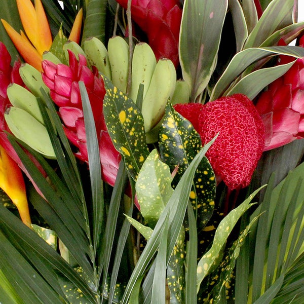 Island Breeze Bouquet