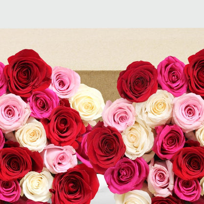 50-stem Shades of Pink Quad Roses