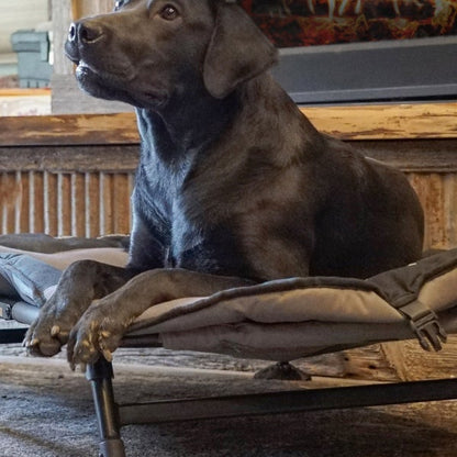 MOmarsh Home Cot Dog Bed