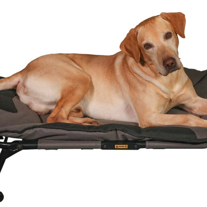 MOmarsh Home Cot Dog Bed