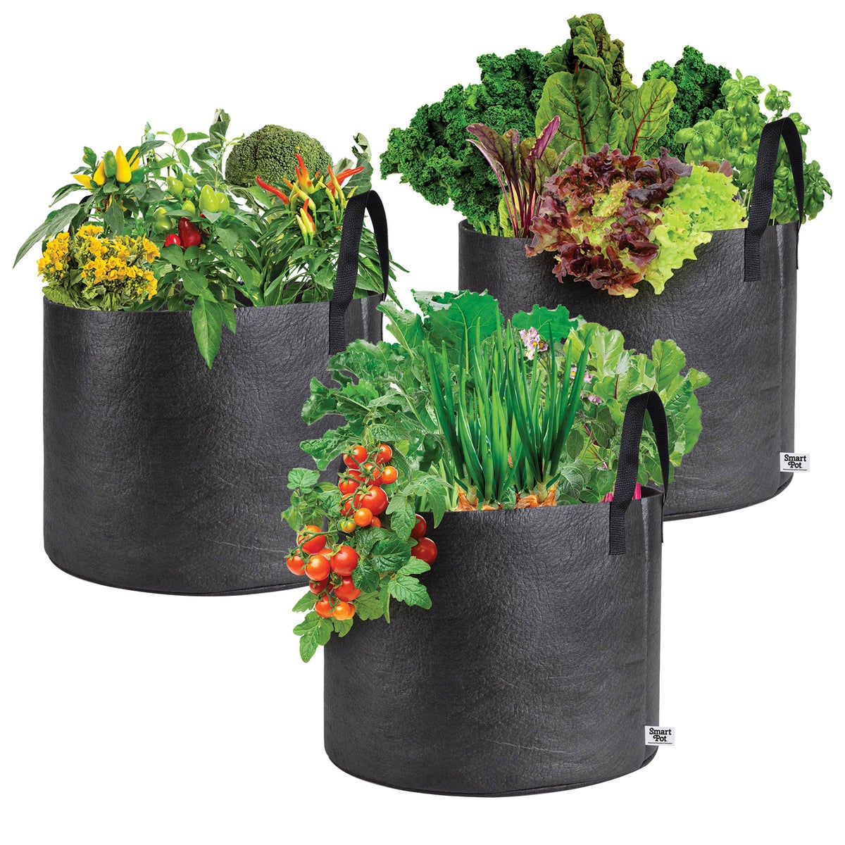 Smart Pot 15 Gallon Fabric Planter, 3-pack