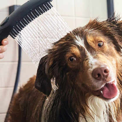 Hansgrohe Dog Showerhead