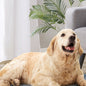 Kirkland Signature Square Plush Tufted Napper Pet Bed, Slate Gray