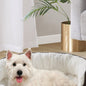 Kirkland Signature Bolster Cuddler Pet Bed, Brown