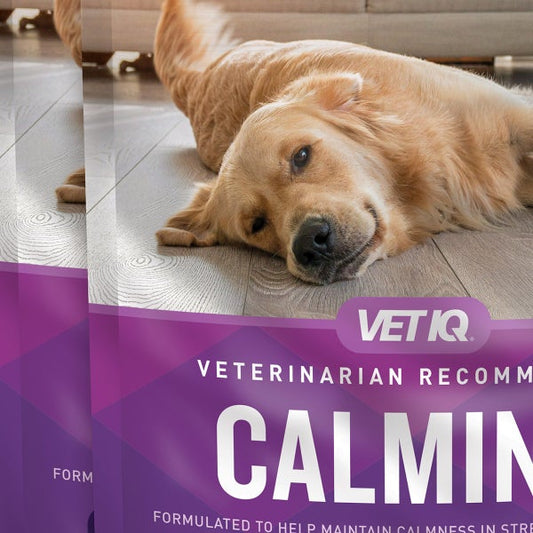 VETIQ Calming Hickory Smoke Flavored Soft Chews for Dogs, 240-count