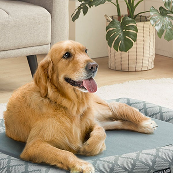 Kirkland Signature 2-in-1 Bolster Pet Bed