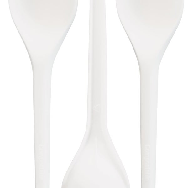 Eco Raj Compostable Spoon, 1,000-count